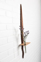 Walnut Squirly Tail Shelf