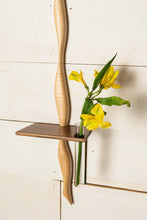 Streamline Shelf 5