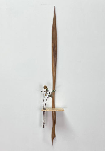 Shelf 12